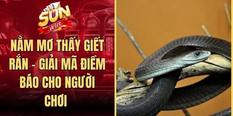 Nằm Mơ Thấy Giết Rắn - Giải Mã Điềm Báo Cho Người Chơi 